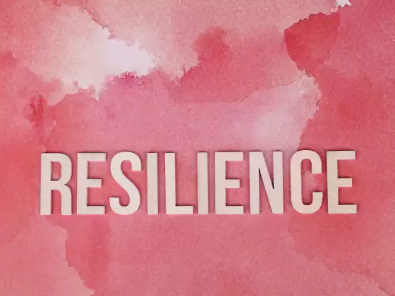 Dominios de resiliencia