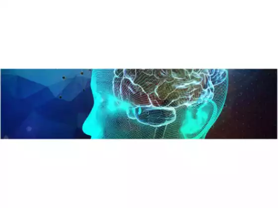 Dominando a mente curadora
