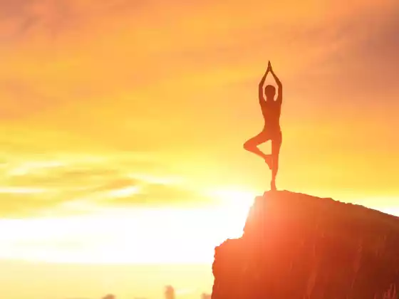 Yoga chữa bệnh phục hồi: Đặc biệt ngày hạ chí (Yoga trên ghế)