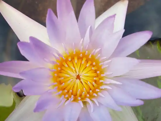 The Chakra Journey: An Exploration of the Chakra System for Health & Healing