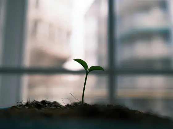 能量疗愈如何转化为物理网络研讨会 4