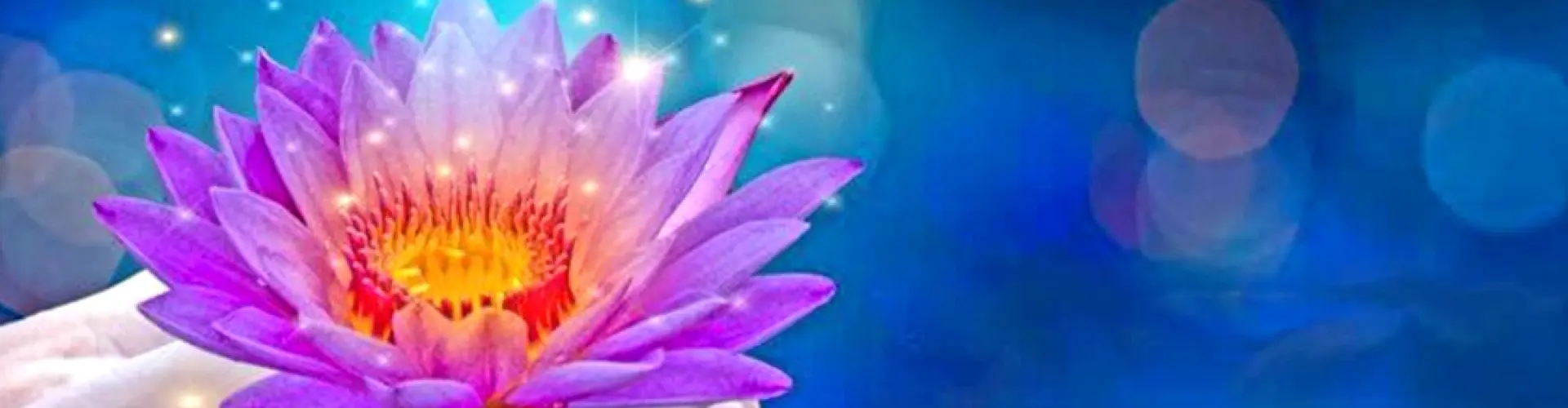 Week-end Maître Reiki Niveau 3 - Online Class by Cassaundra Paolini
