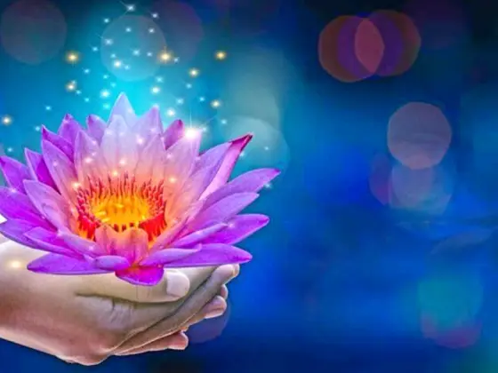 Week-end Maître Reiki Niveau 3